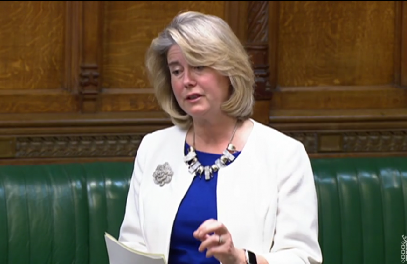Wearing the colours of the historic football club, Anna makes an impassioned plea for Southend United's future from the floor of the House of Commons
