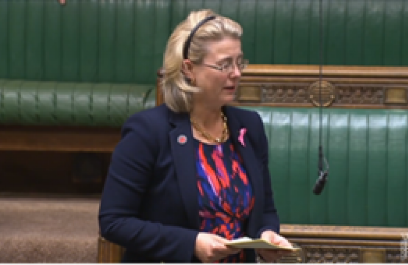 Anna speaking in the Chamber