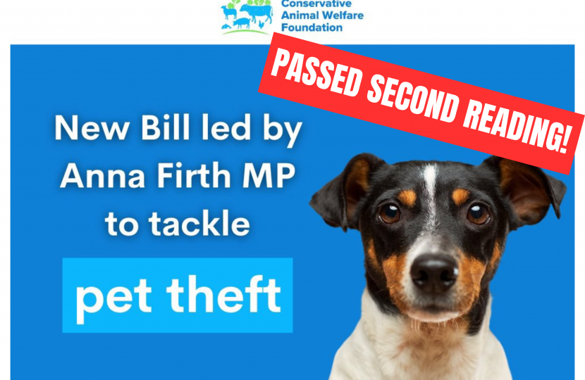 Graphic showing that Anna Firth MP's Bill has passed its second reading 